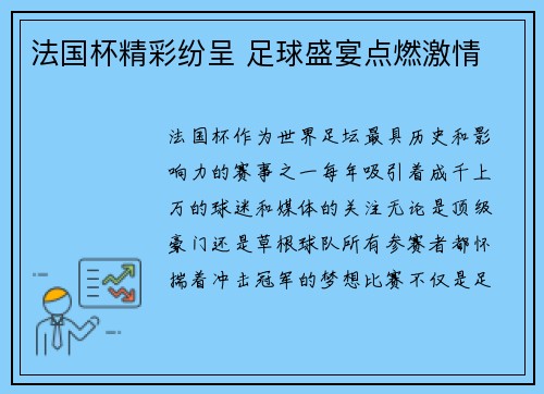 法国杯精彩纷呈 足球盛宴点燃激情