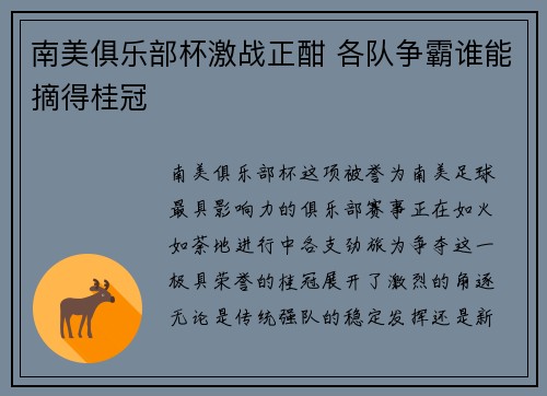 南美俱乐部杯激战正酣 各队争霸谁能摘得桂冠